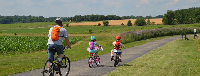 Family Guide to Mill Creek Park: Summer Edition