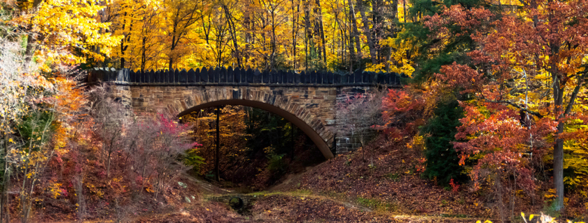 Enjoy Fall in Youngstown