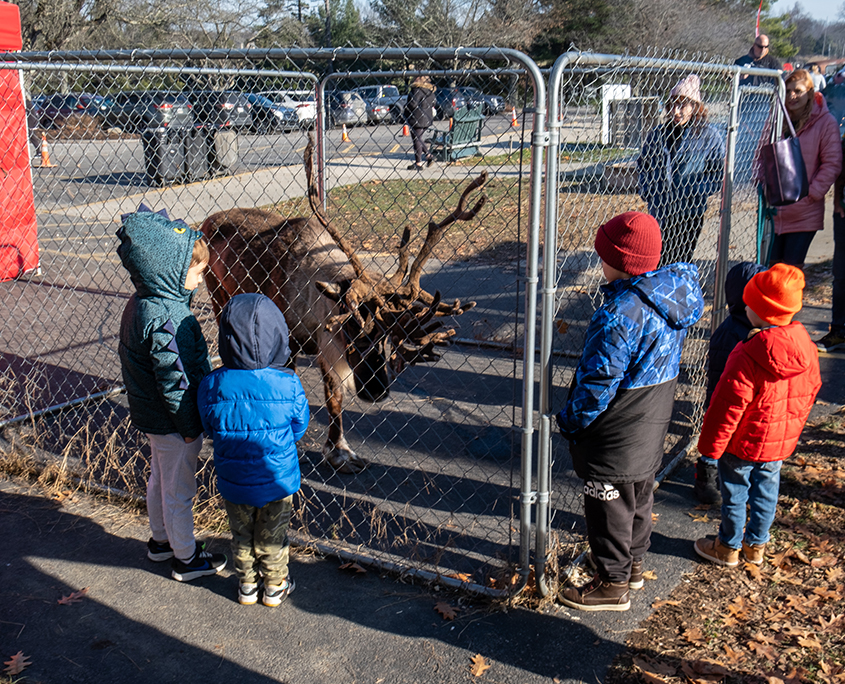 Christmas on the Farm