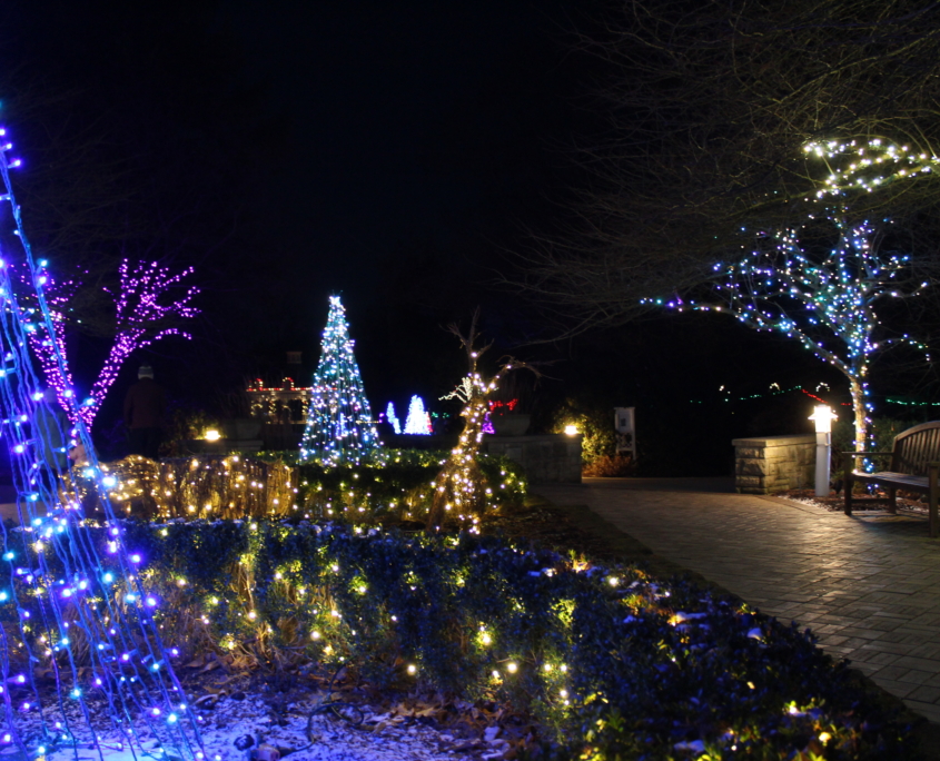 Winter Nights-IMG_4747