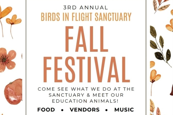 Fall Festival - Birds in Flight Sanctuary
