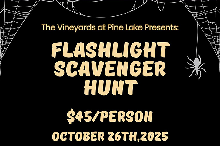 Flashlight Scavenger Hunt in the Vines