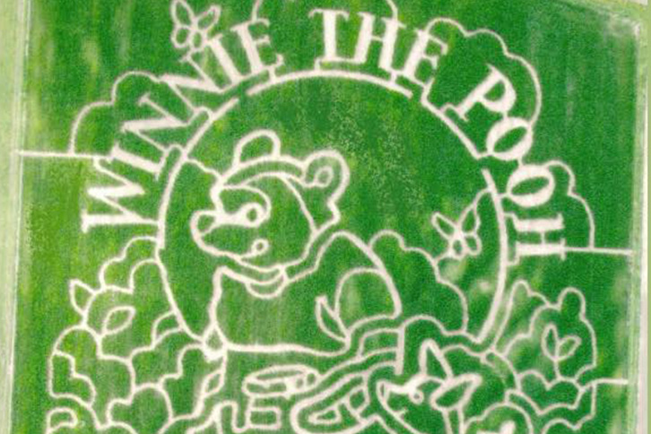 Trick or Treat at Maze Craze