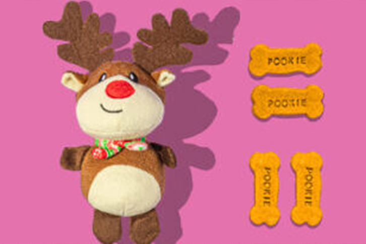 Pet Photo Night with Santa