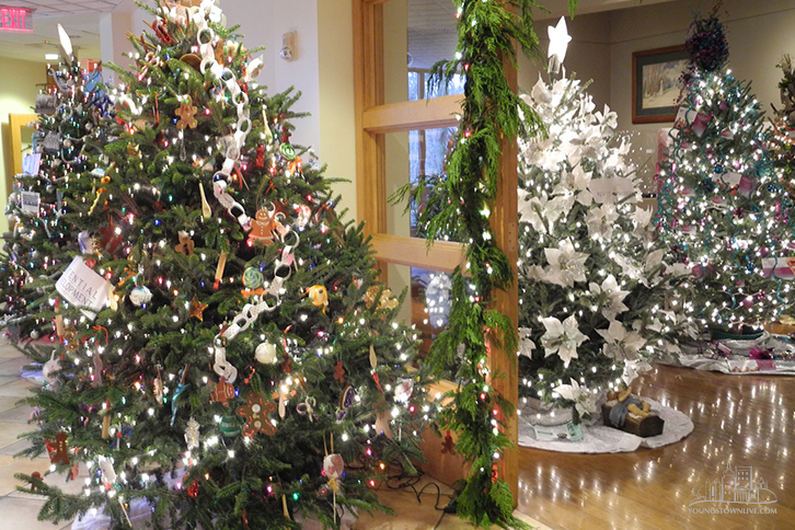 Frost & Lights: A Festive Holiday at the Gardens