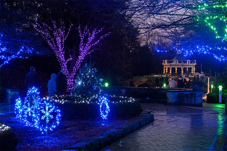 Frost & Lights: Winter Nights