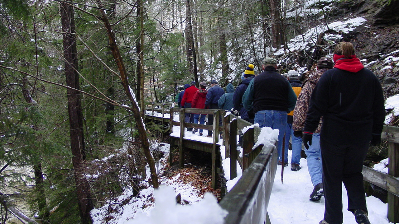 Winter Wonderland Hike
